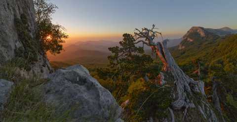 Diffondono bellezza e rispetto per l'ambiente: sono i "fotografi naturalisti"